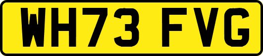 WH73FVG