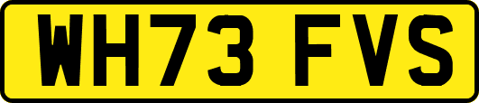 WH73FVS