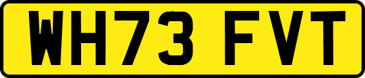 WH73FVT