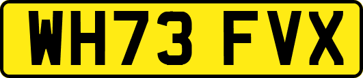 WH73FVX