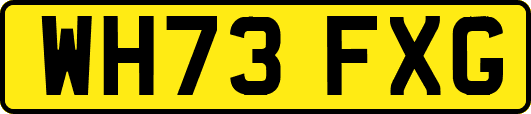WH73FXG