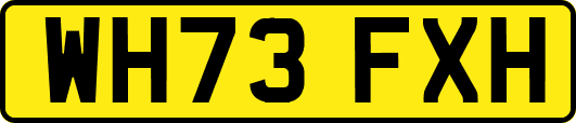 WH73FXH
