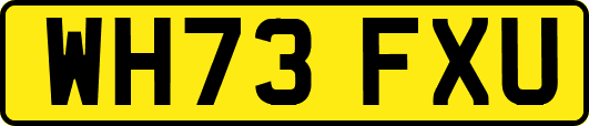 WH73FXU