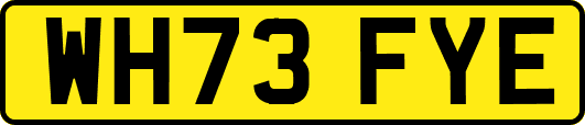 WH73FYE