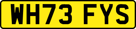 WH73FYS