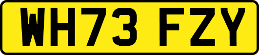 WH73FZY