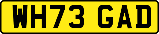 WH73GAD