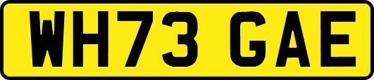 WH73GAE