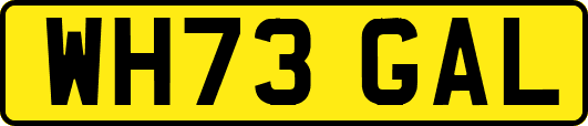 WH73GAL