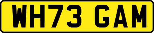 WH73GAM