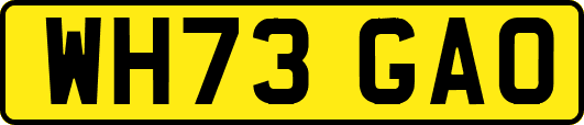 WH73GAO