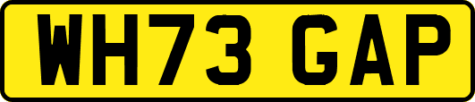 WH73GAP