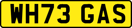 WH73GAS