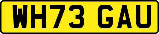 WH73GAU