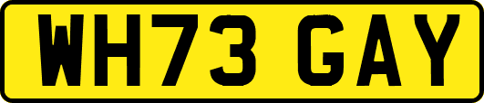WH73GAY