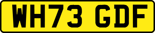 WH73GDF