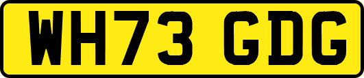 WH73GDG