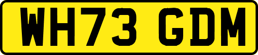 WH73GDM