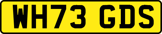 WH73GDS