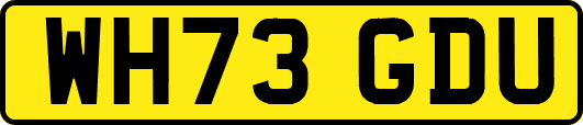 WH73GDU