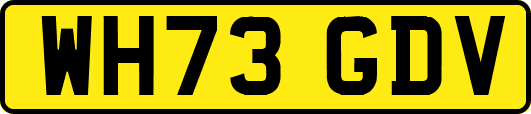 WH73GDV