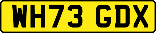 WH73GDX