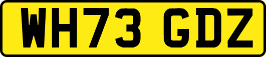WH73GDZ