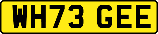 WH73GEE