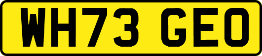 WH73GEO