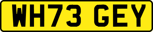 WH73GEY