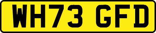 WH73GFD