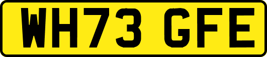 WH73GFE