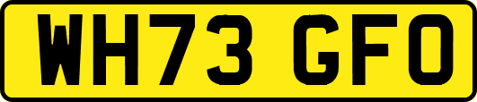 WH73GFO