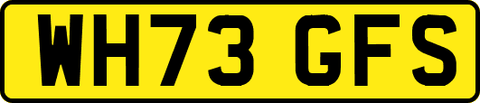 WH73GFS