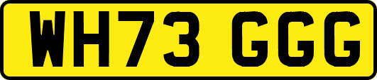 WH73GGG
