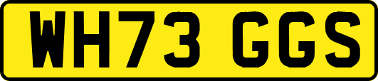 WH73GGS