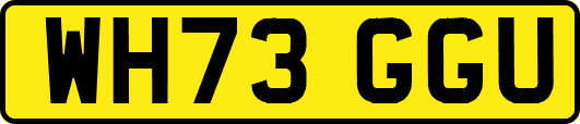 WH73GGU