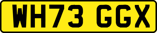WH73GGX