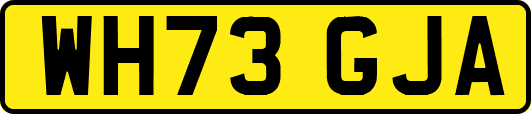 WH73GJA