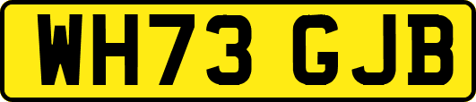 WH73GJB