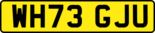 WH73GJU