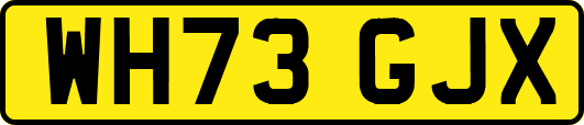 WH73GJX