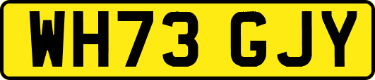 WH73GJY