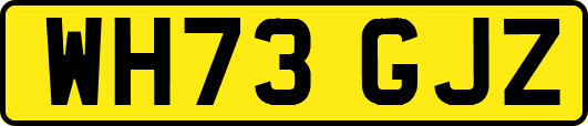 WH73GJZ