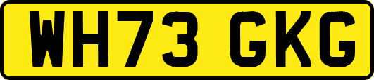 WH73GKG