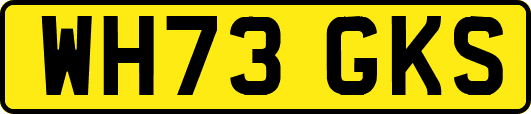 WH73GKS