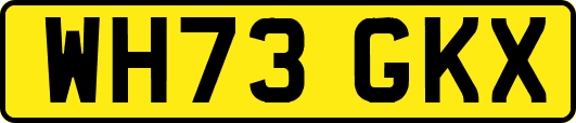WH73GKX