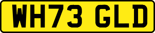 WH73GLD