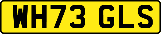 WH73GLS
