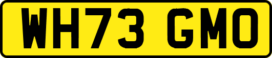 WH73GMO